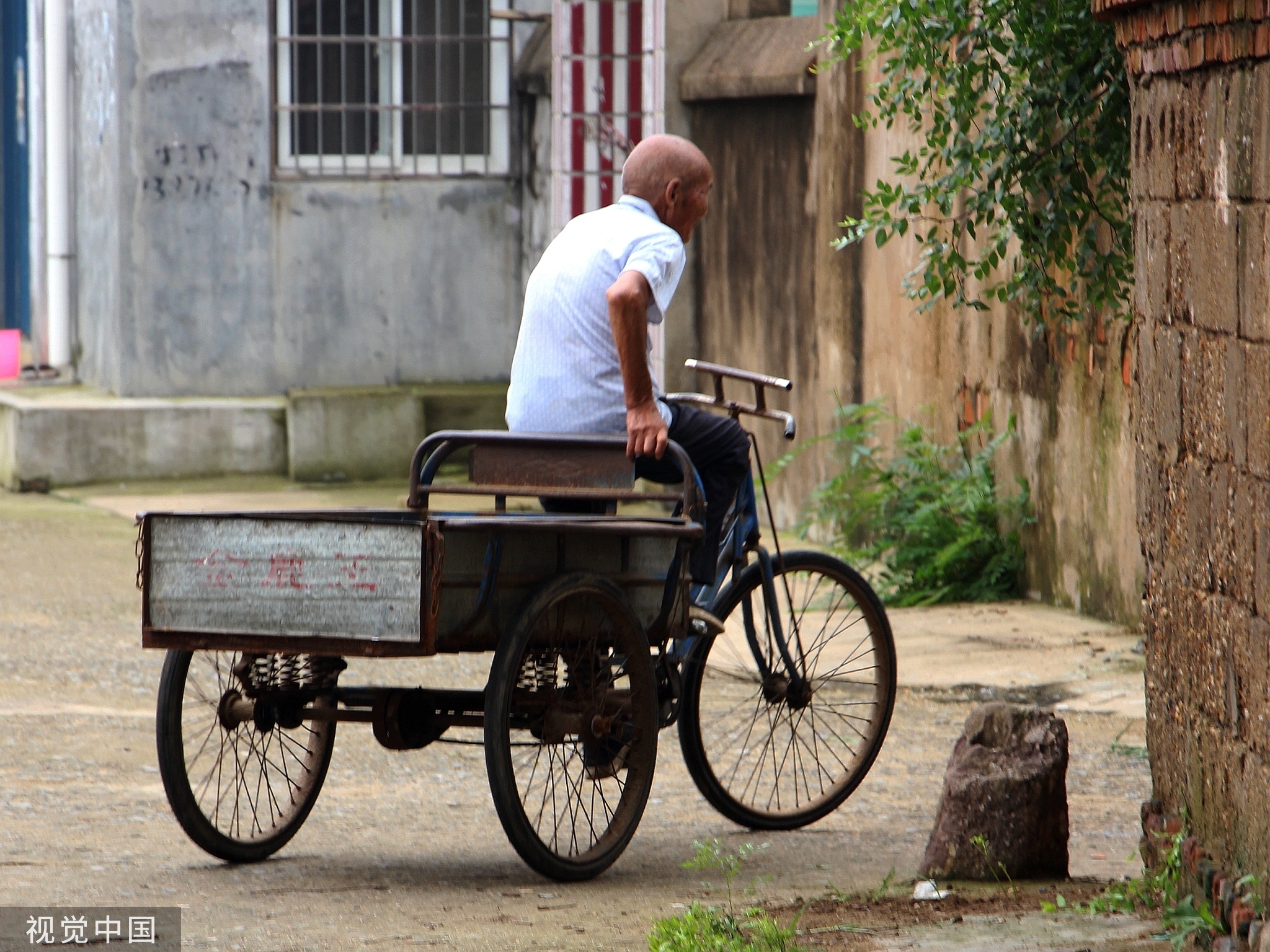 94岁老人喜爱田园生活 骑行三轮车似年轻人