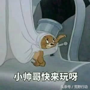 荒野欢乐秀：荒野中，你不得不看的带妹套路