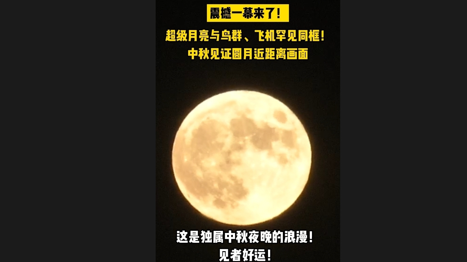 震撼！超级月亮、群鸟、飞机罕见同框