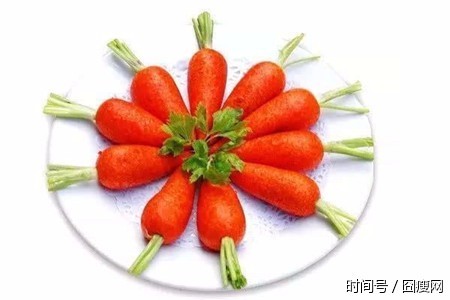 增生性凸疤怎么治疗治疗疤痕的新方法是什么