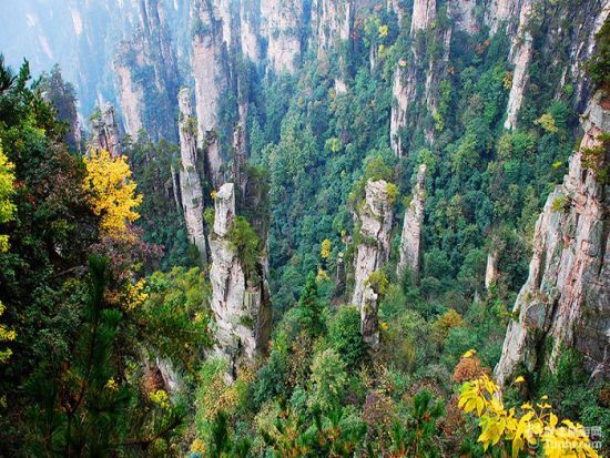 张家界自助游旅游攻略:必备物品,防骗注意事项