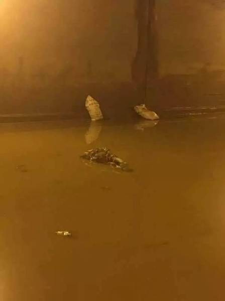 这个无名涵洞通往贵昆路，路烂了十多年，修修补补，每次下雨都会淹水，但也电动车能骑过去。陈开玉发现这一次积水特别厉害，根本过不去了，“积水已经比成年人高多了，距离洞顶就不到一米的距离。”这个无名涵洞标高4.5米，按当事人的描述来推算，当时涵洞积水可能在2-3米左右。