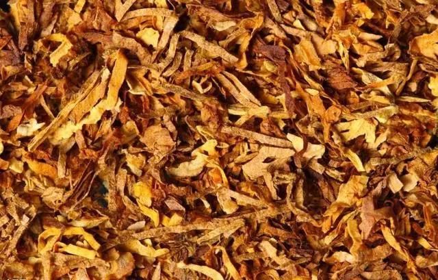 你知道一个烟草公司可以顶多少个阿里巴巴吗?