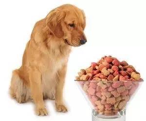 刘亦菲宋承宪赶超杨幂刘恺威 粉丝操碎心