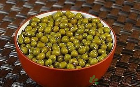 老年人发生尿路感染的原因