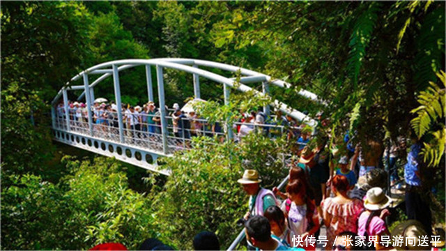 家界单请导游多少钱?张家界私人导游靠谱吗?