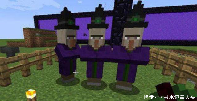 我的世界:村民的6个亲戚,最后一个最让人想揍