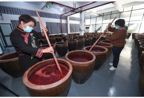 浙江桐庐:传统红曲酒开酿