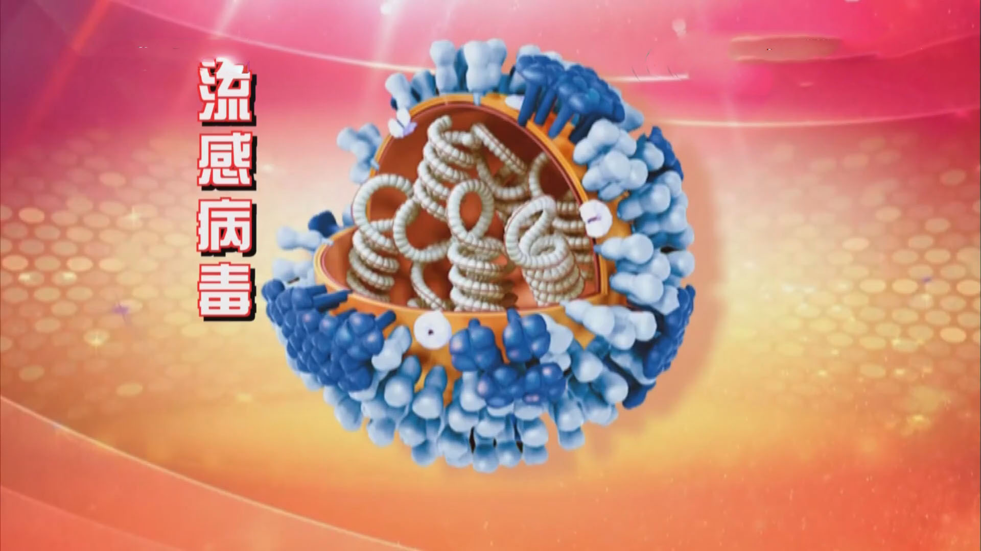 《养生堂》20180115对抗来势汹汹的流感