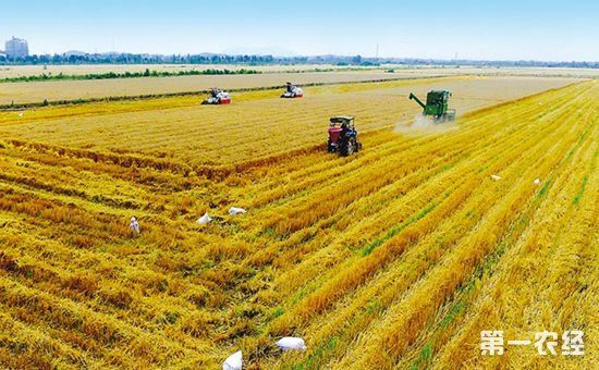 今年我国农业农村经济持续健康发展 农业现代