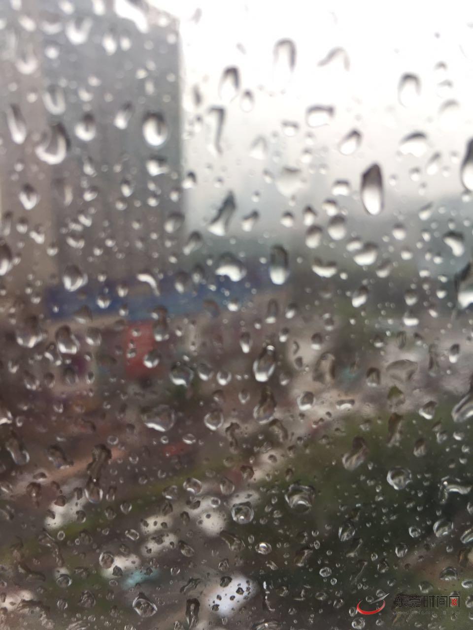 东莞气象局发布麻涌、中堂、望牛墩、高埗四镇