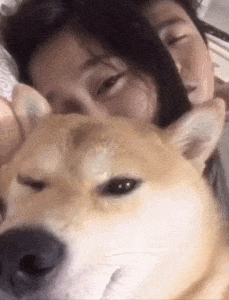 国际搞笑gif一家三口的甜蜜生活,其乐融融的真是太温馨了