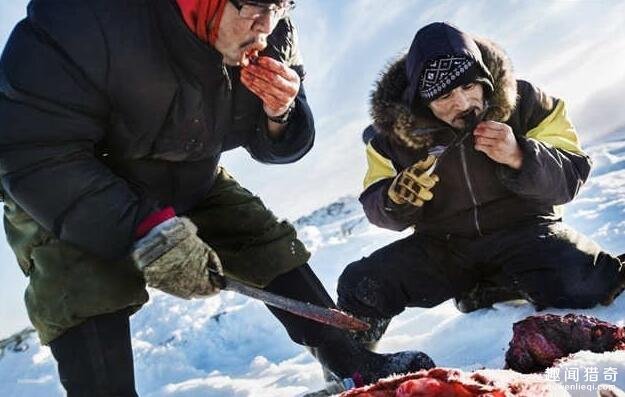 住雪屋吃生肉 北极圈10万爱斯基摩人这样生活