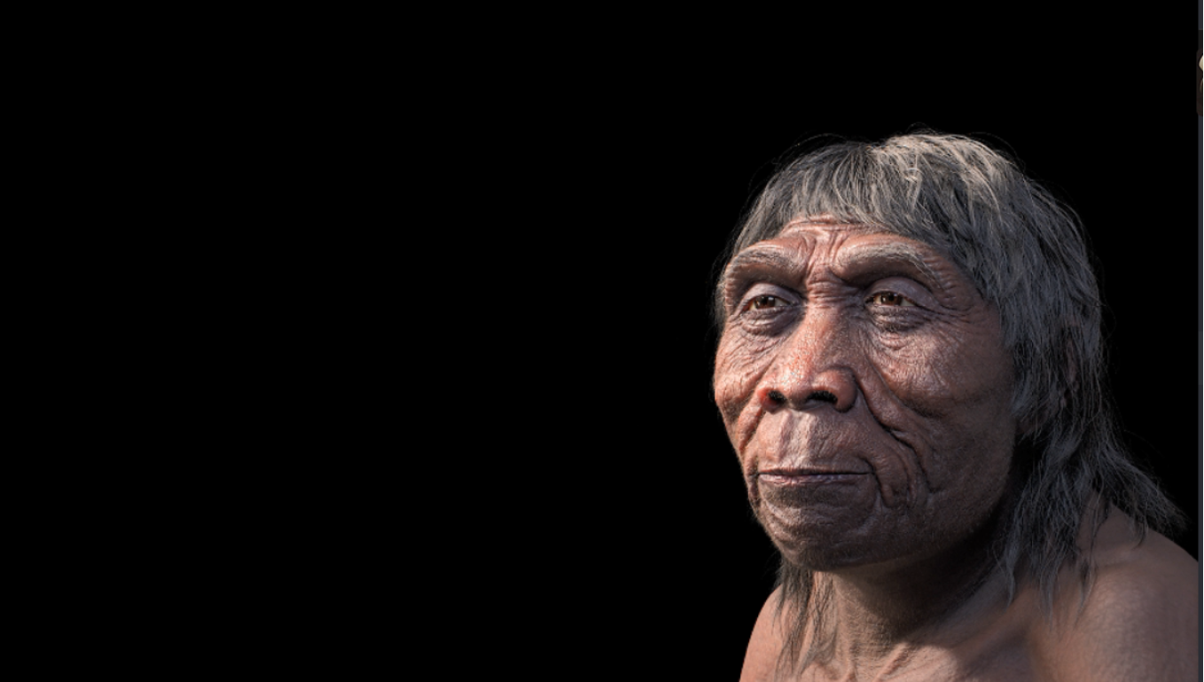 周口店发布ai数字"北京人"_北京时间