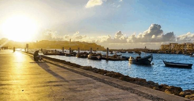 非洲唯一一个发达国家,没有一个黑人,要与非洲