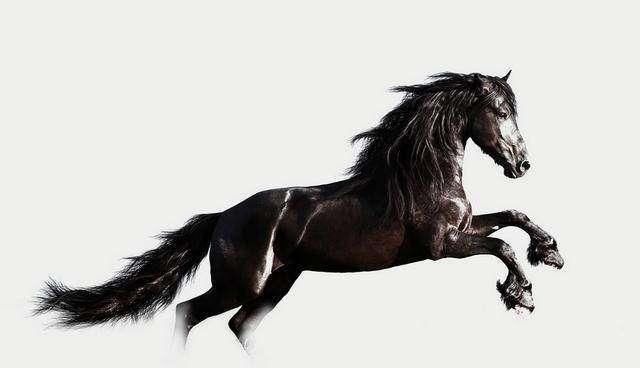 不同年份出生的属马人,终生命运各有什么