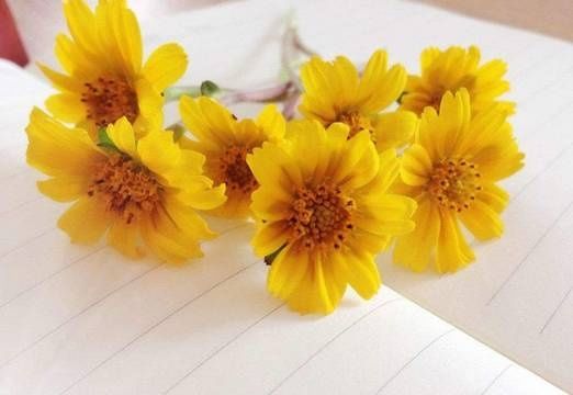 抑郁症究竟是什么?情绪总是很低落,是否也算抑