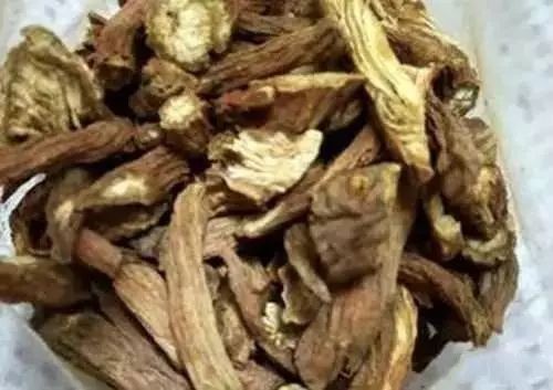 六味地黄汤,血压稳稳的,国医推荐!