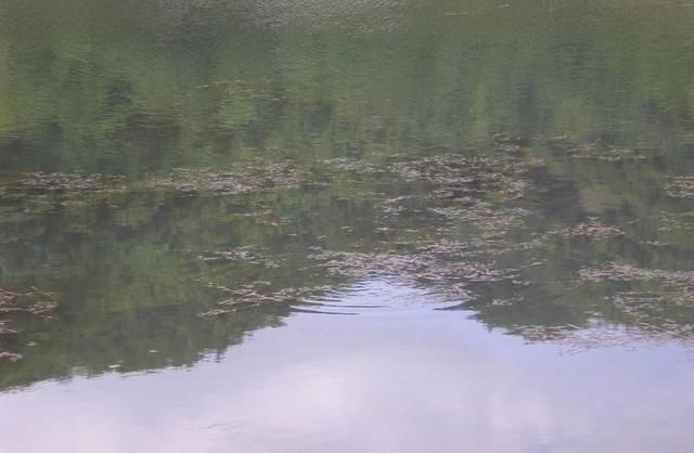 初到陌生水域如何判断是否有鱼,掌握这三点是