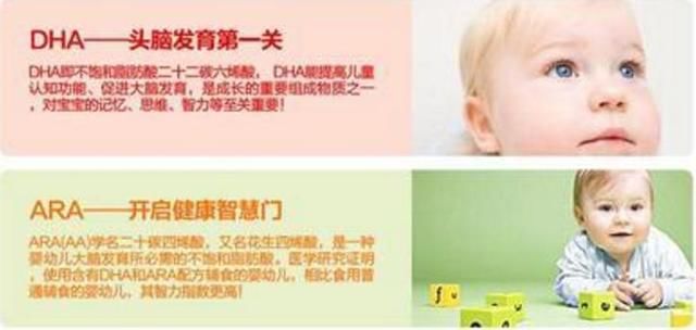 宝宝补脑黄金期,宝宝大脑最须补充什么营养,错