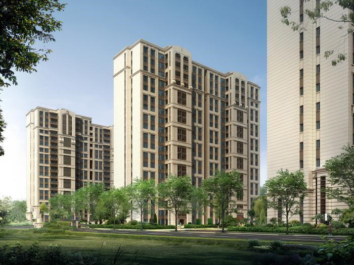 对投机炒房等房地产乱象发现一起查处一起