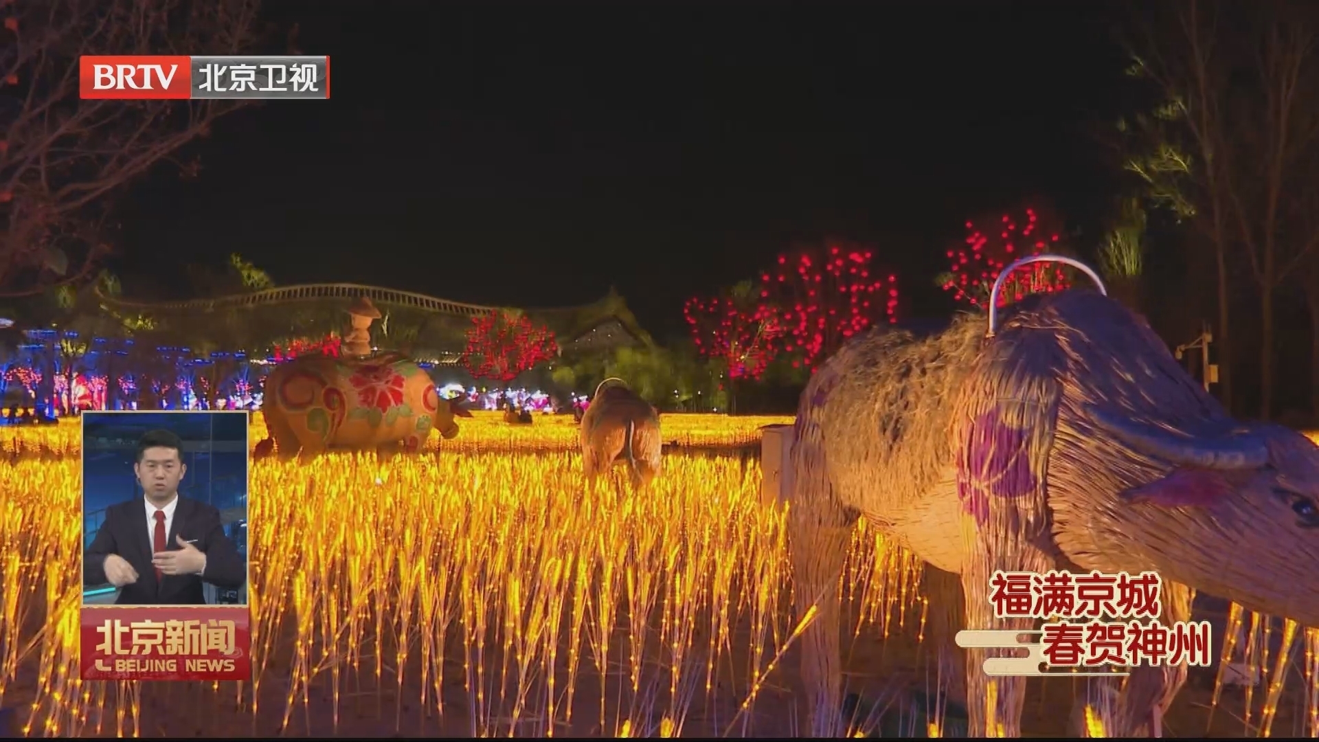 福满京城 春贺神州 | 延庆非遗大观园年味儿浓 福满京城 春贺神州 | 延庆非遗大观园年味儿浓