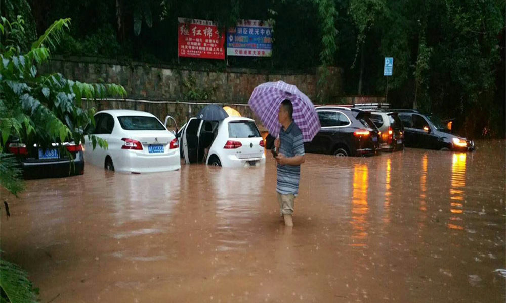 四川雅安 暴雨图片