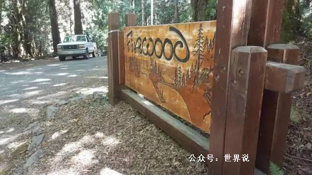 海外游学项目花费上万!美国机构缺监管、问责