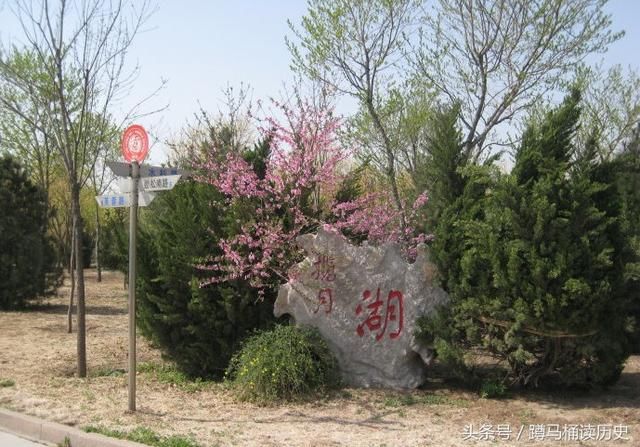 亚洲第一高中--潍坊一中景色美翻了