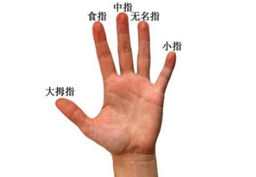 从手指长短看婚姻事业命运