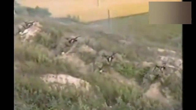 主要装备有：中型坦克、122牵引榴弹炮、100滑膛炮、152加榴炮、双37高炮、红缨—5防空导弹、红箭-73反坦克导弹，营、连属轻武器，5.8毫米班用枪族，还有一些技术保障装备。