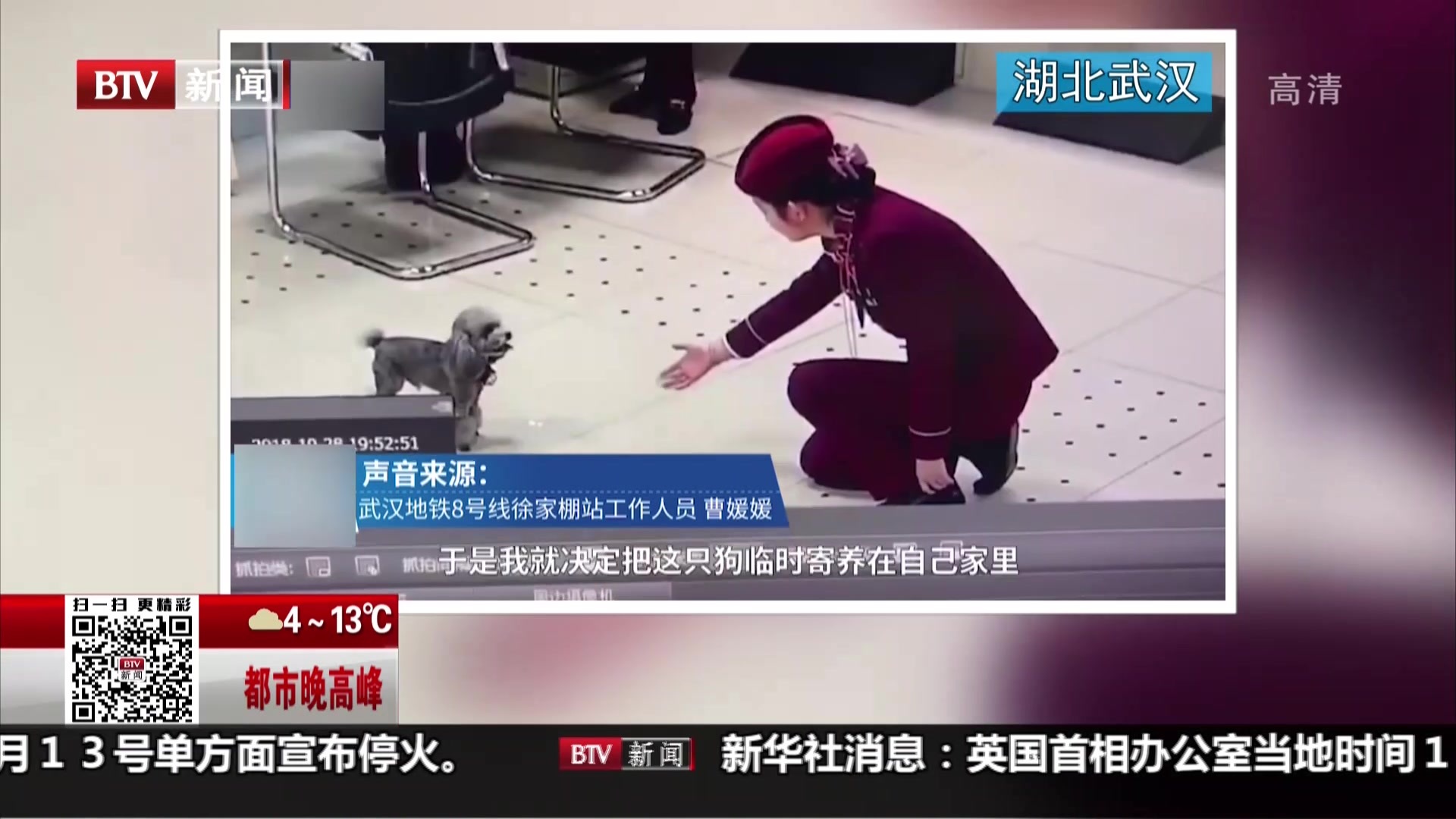 湖北武汉：泰迪窜到地铁站  工作人员帮忙找到主人