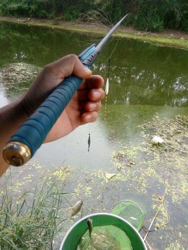 看這樣的水面還怎麼釣魚, 散發出來的味道讓人坐不住!