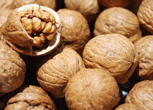 核桃与什么食物相克香哈网(核桃与什么食物相克) 核桃与什么食物相克香哈网(核桃与什么食物相克)