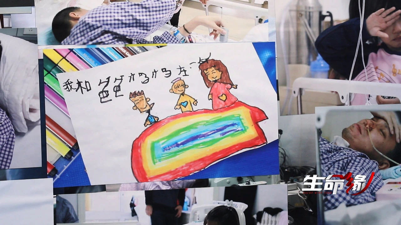 《生命缘》20200429我想陪你长大 《生命缘》20200429我想陪你长大