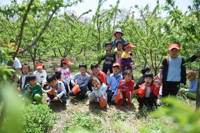 拥抱自然 我爱春天--素质教育践行者郑州市端庄