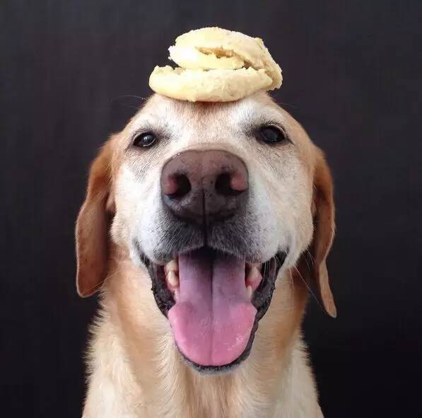 太简单了,看脸上这得意的笑容.