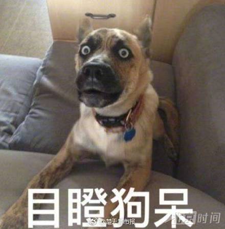 t0159cd861a9e8cd4bf.jpg?size=440x446