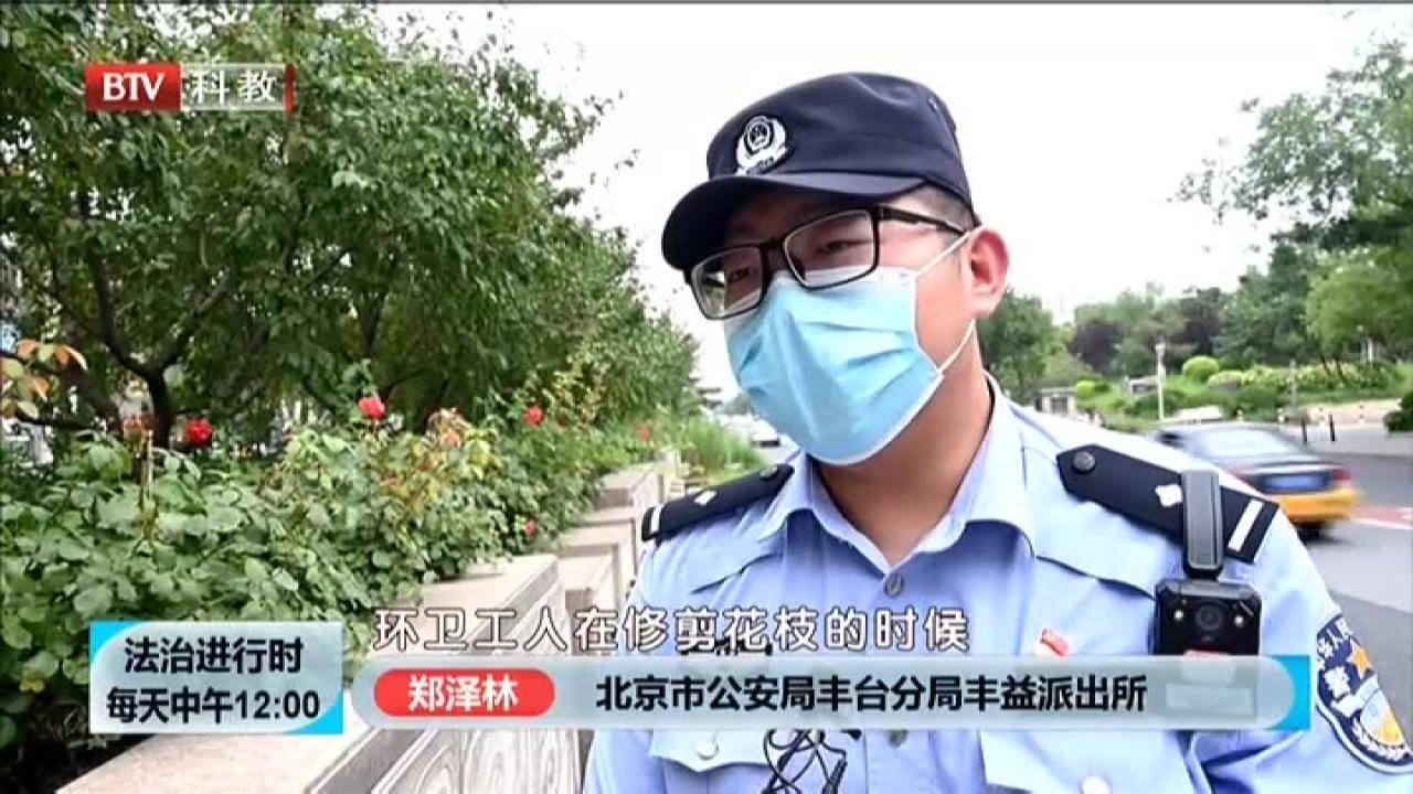 《法治进行时》20210813七夕临近突发奇想  盗窃月季“碰瓷”玫瑰