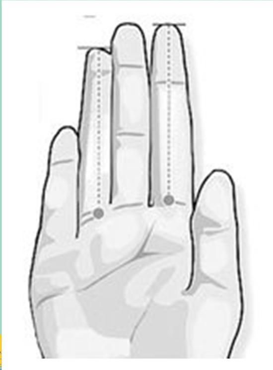 食指比无名指长,能凭自己努力成就一番事业,这