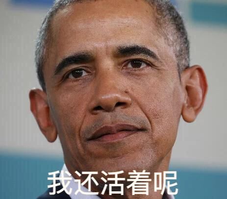 杀戮重生犬屋敷完结简评:美国总统特朗普看了