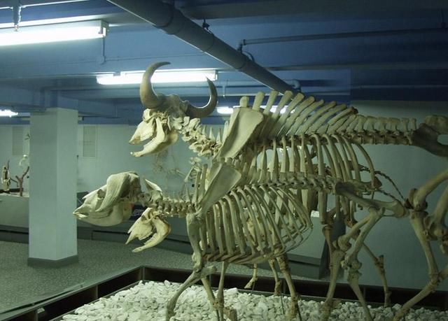 除了故宫和国博,这些值得一去的北京的博物馆