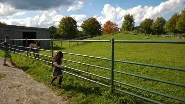 两万五就能移民加拿大?这位程序员做到了