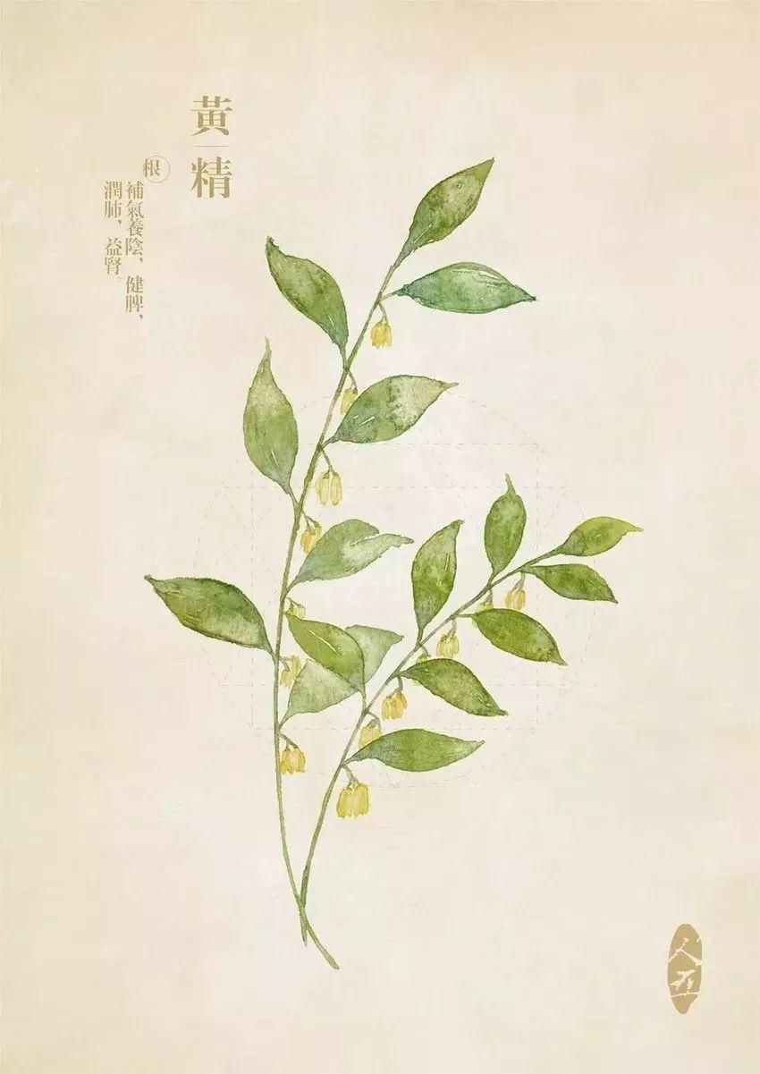 道家神奇仙药,看看道家长生不老的仙人粮到底