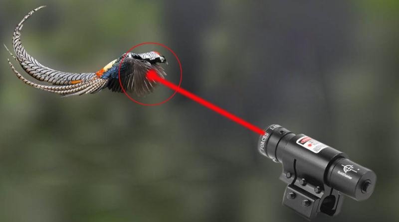 中国研发"激光狩猎电筒"火了!号称"恐怖级",6000米捕鸟