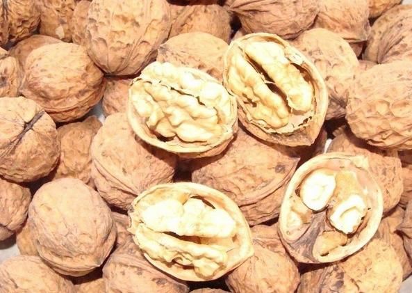 3到6岁,孩子智力发育关键期,怎么让孩子智商提