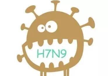 做熟的鸡肉、鸭肉不会传染H7N9禽流感