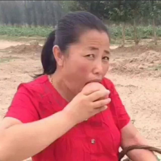 快手上不会被封杀的4大网红,二驴落榜,第一受