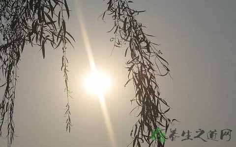 多形性日光疹的原因