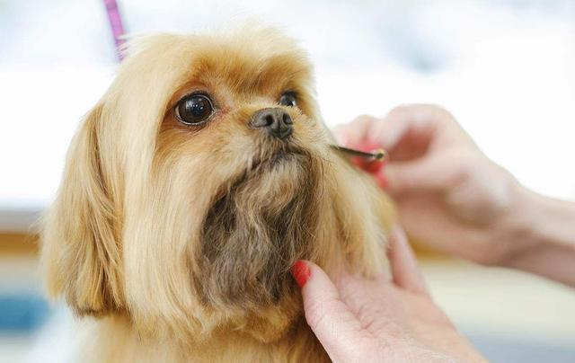 穷人创业项目,2018年小本创业,这6大项目最适